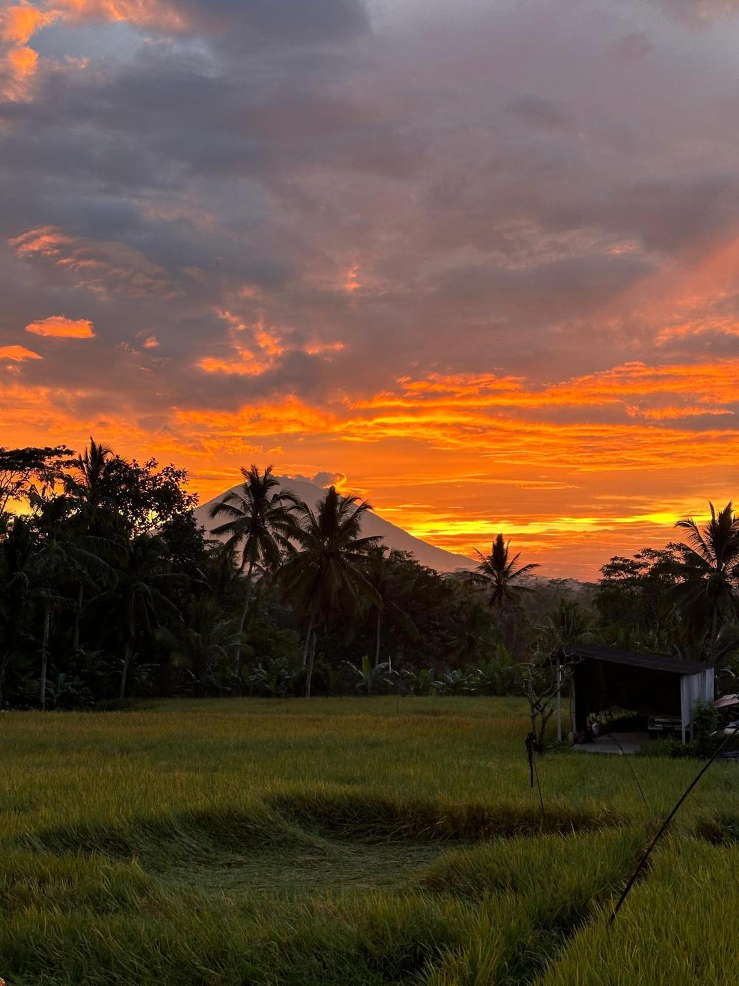 Aditara Sebatu Villa Ubud Exterior foto
